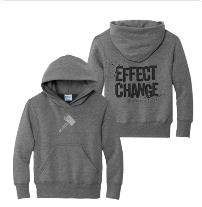 Effect Change Hoodie- Gray(Youth)