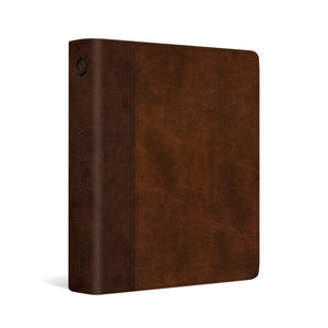 Brown Journaling Bible (ESV)